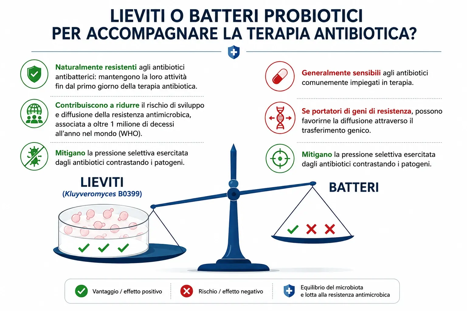 lieviti vs batteri